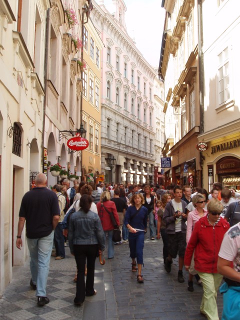 P1010397.JPG