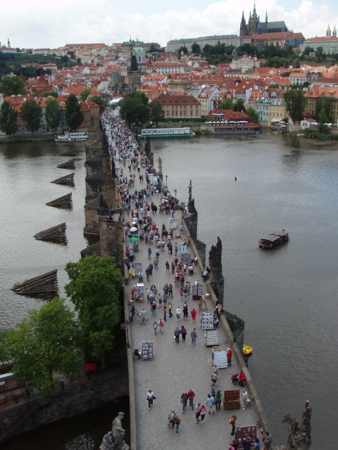 P1010420.JPG
