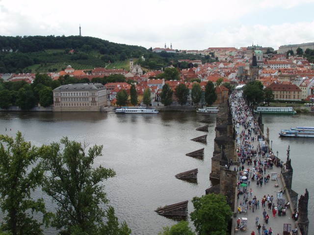 P1010424.JPG