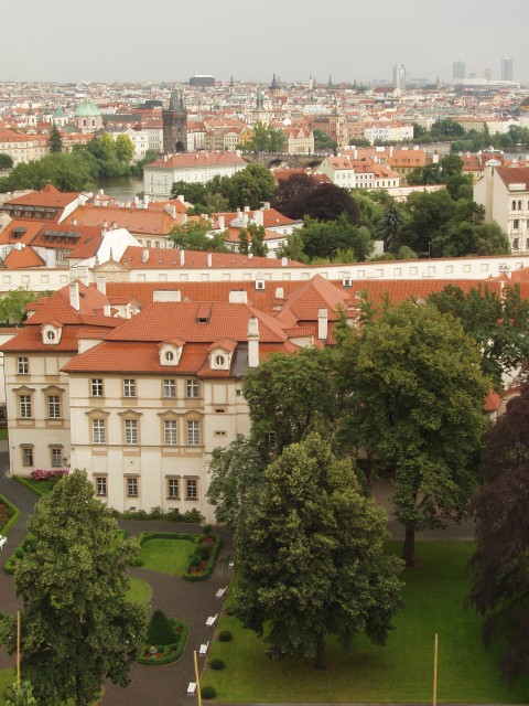 P1010466.JPG
