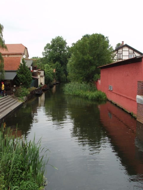 P1010004.JPG