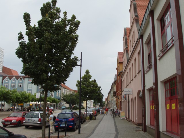 P1010018.JPG