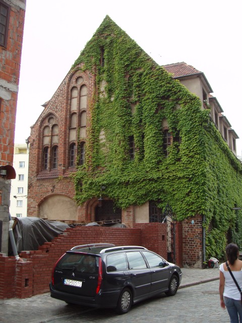 P1010024.JPG