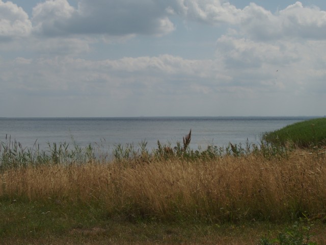 P1010065.JPG