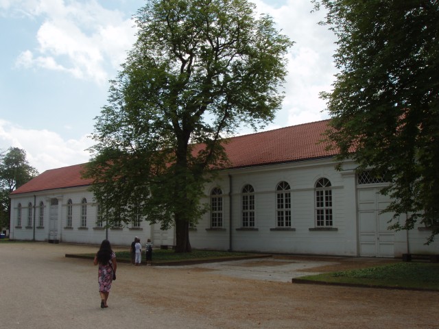 P1010091.JPG