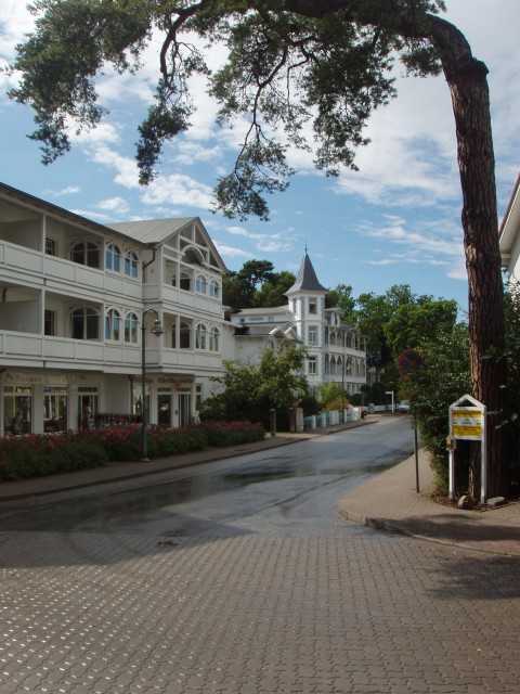 P1010110.JPG