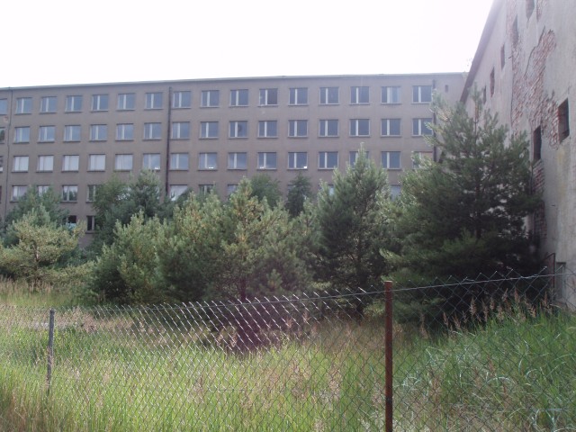 P1010129.JPG