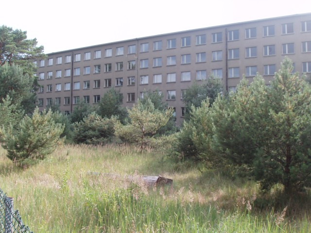 P1010130.JPG