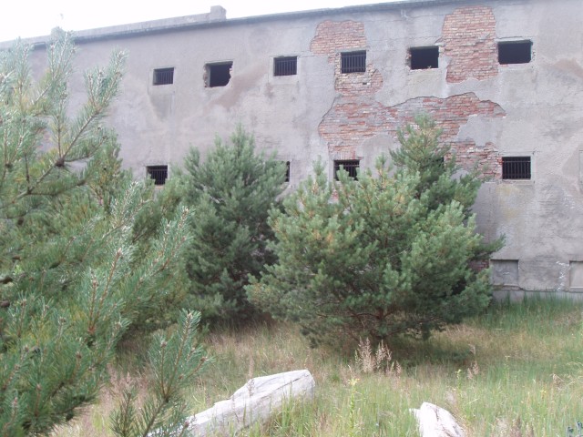 P1010131.JPG