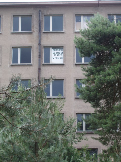P1010132.JPG