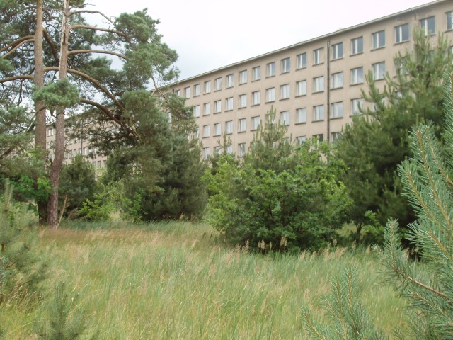 P1010133.JPG