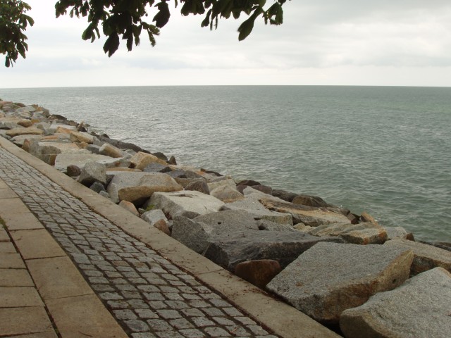 P1010139.JPG