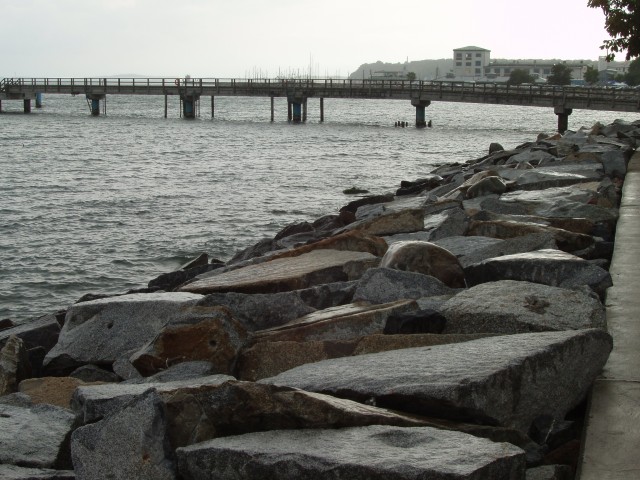 P1010141.JPG