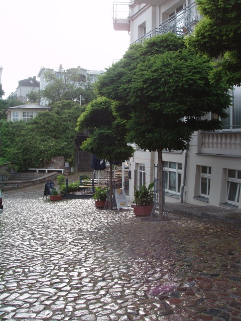 P1010142.JPG