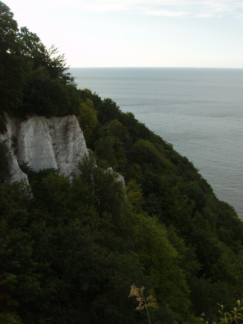 P1010149.JPG