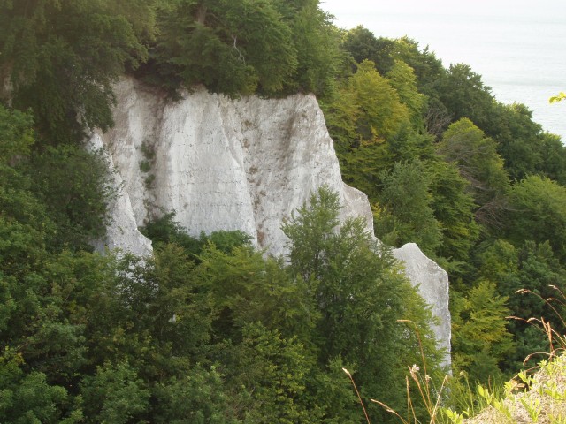 P1010150.JPG