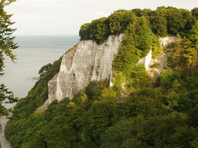 P1010151.JPG
