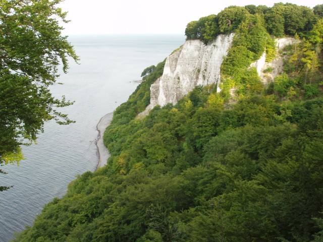 P1010152.JPG