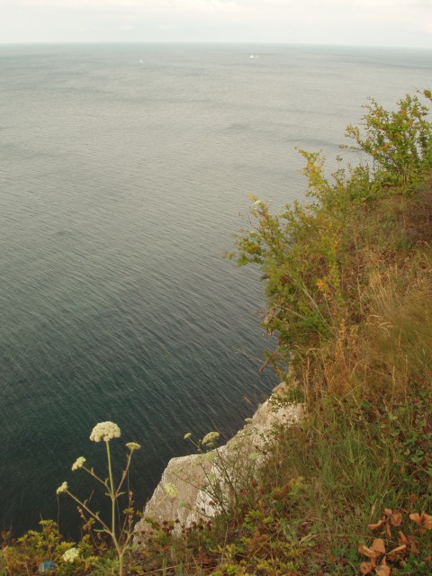 P1010153.JPG