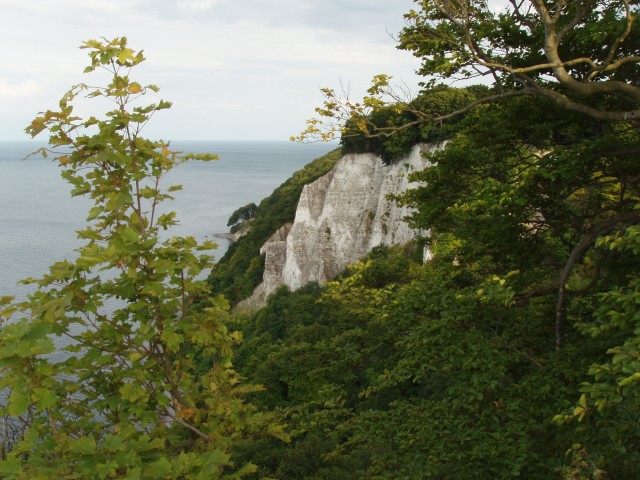 P1010154.JPG
