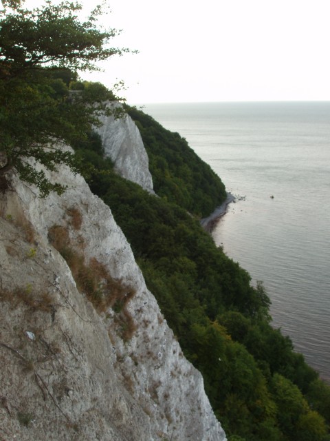 P1010155.JPG