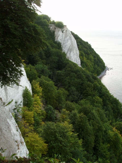 P1010158.JPG