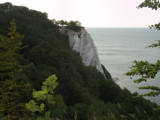 P1010162.JPG