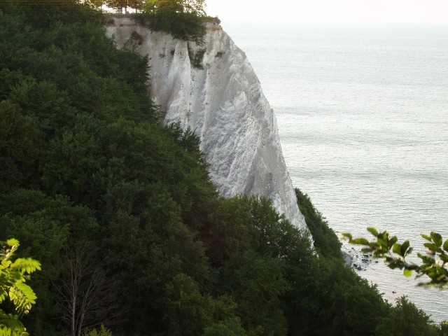 P1010164.JPG