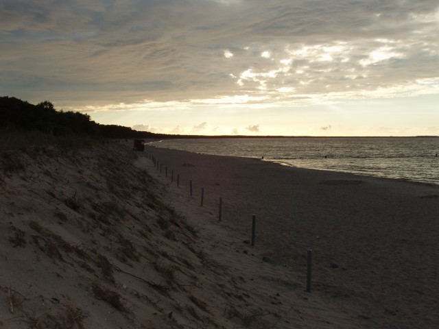P1010174.JPG