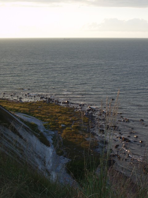P1010186.JPG