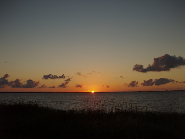 P1010200.JPG