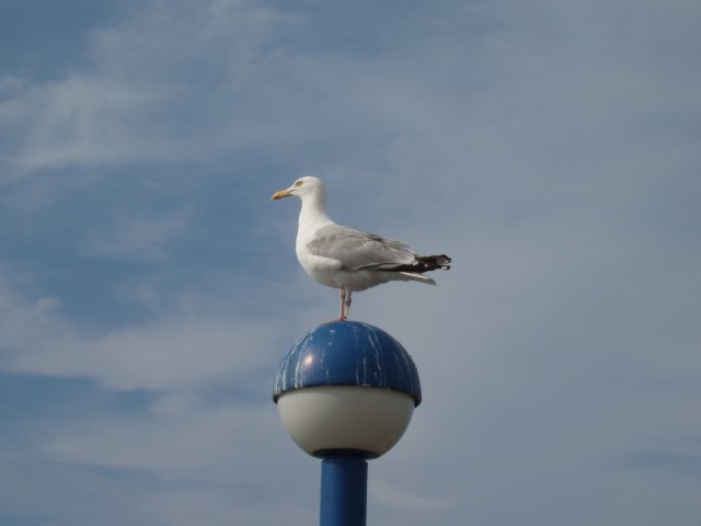 P1010078.JPG