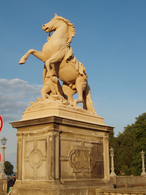 P1010093.JPG