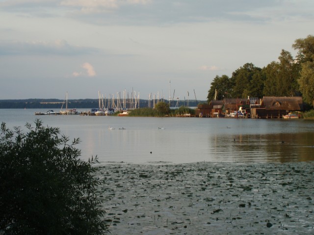 P1010109.JPG