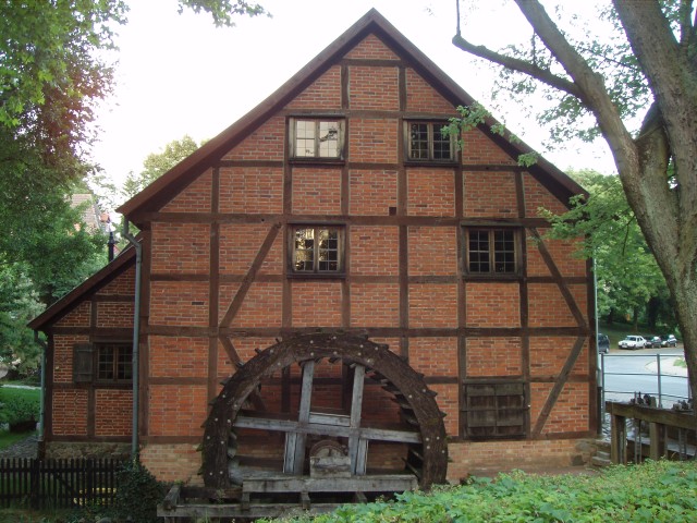 P1010110.JPG