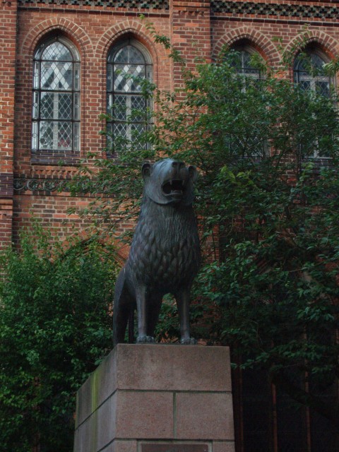 P1010131.JPG