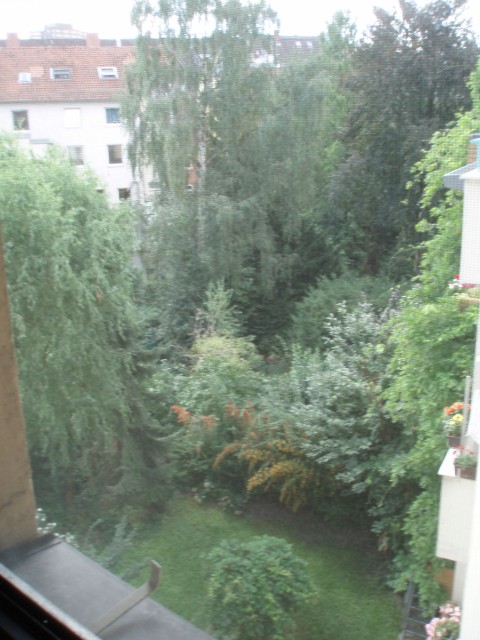 p9080005.jpg