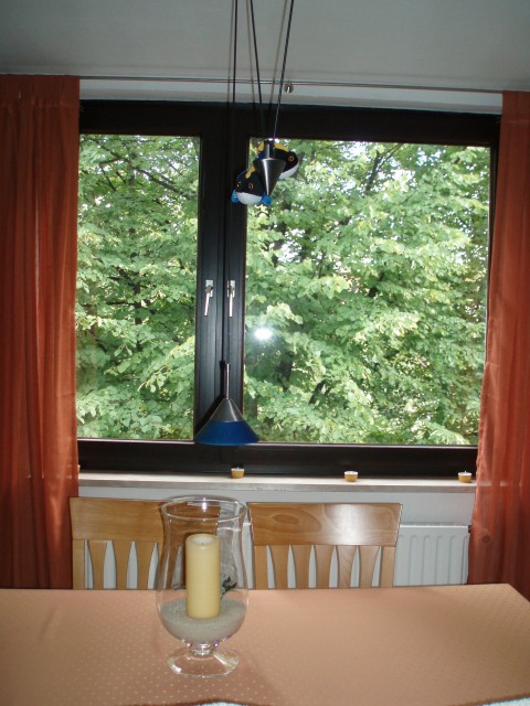 p9080007.jpg