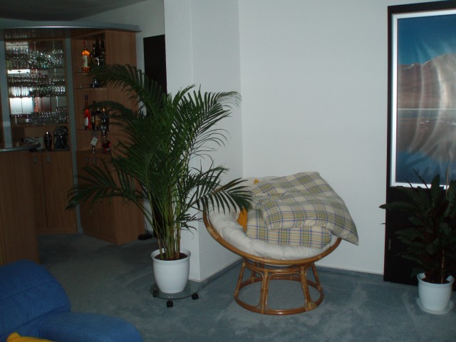 p9080012.jpg