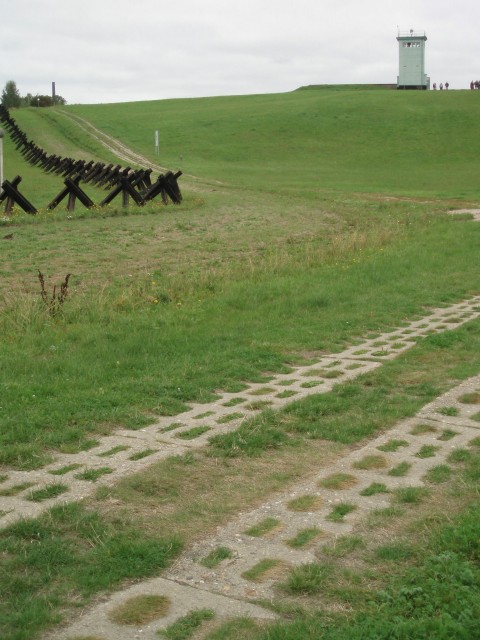 p9090057.jpg