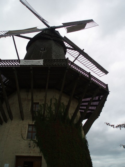 p9090069.jpg