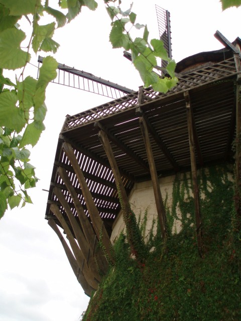 p9090070.jpg