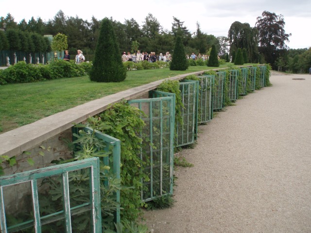 p9090090.jpg