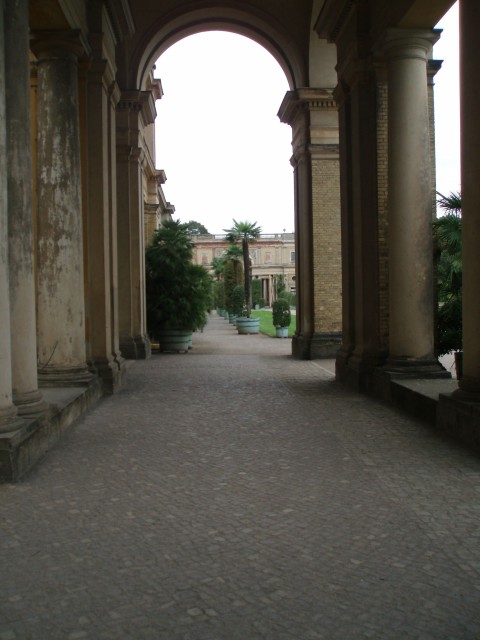 p9090147.jpg