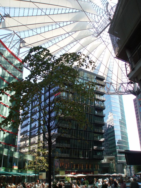 p9100238.jpg