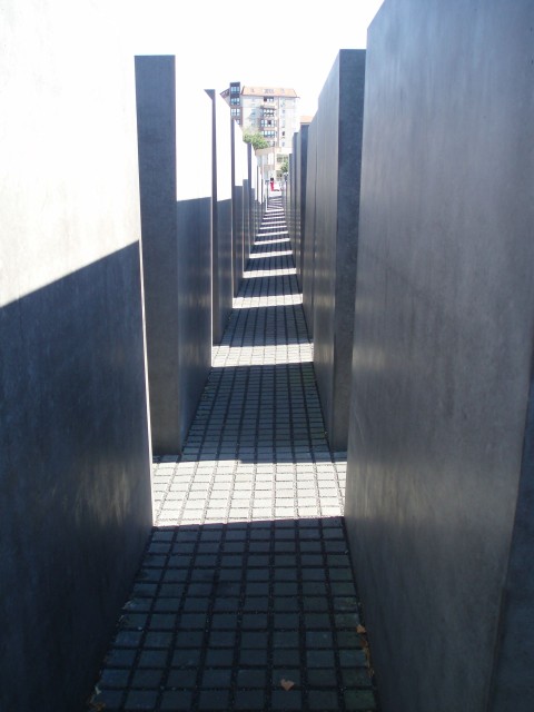 p9100243.jpg