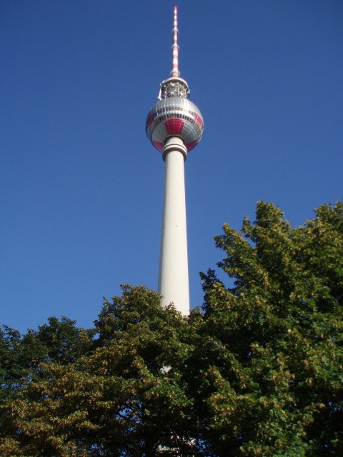 p9100283.jpg