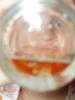 P1010160_thumb.JPG