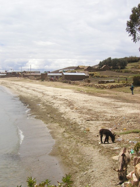 P1010102.JPG