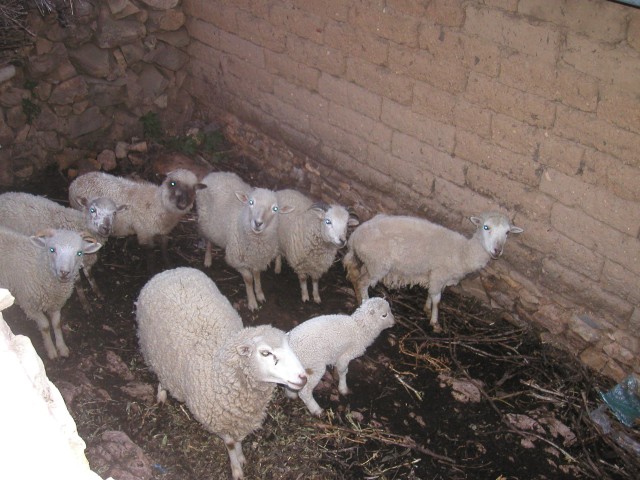 P1010125.JPG